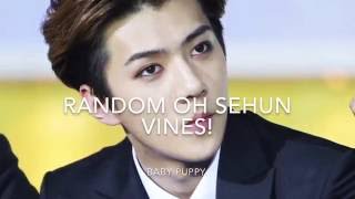 Oh Sehun Vines