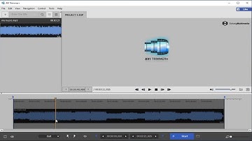 How to edit audio file with AVI Trimmer+