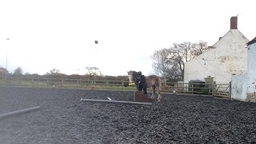 clicker training at the mounting block