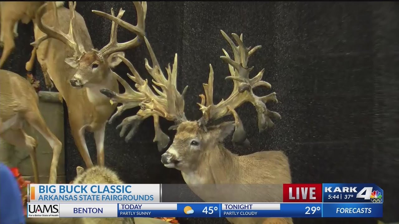 Big Buck Classic returns to the Arkansas State Fairgrounds this weekend