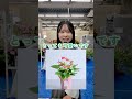 【3選】現場で働くスタッフおすすめの母の日ギフトをご紹介します🎁