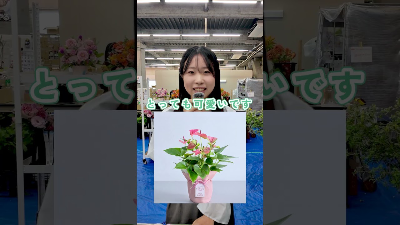 Top 3] Mother's Day gift ideas recommended by our staff 🎁 - YouTube