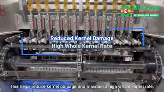 12-Blade Cashew Shelling Machine | VCM-12H | 200–400 kg/h | Size AB Processing