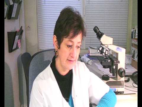 Miniature de la vidéo portrait métier: technicien de laboratoire