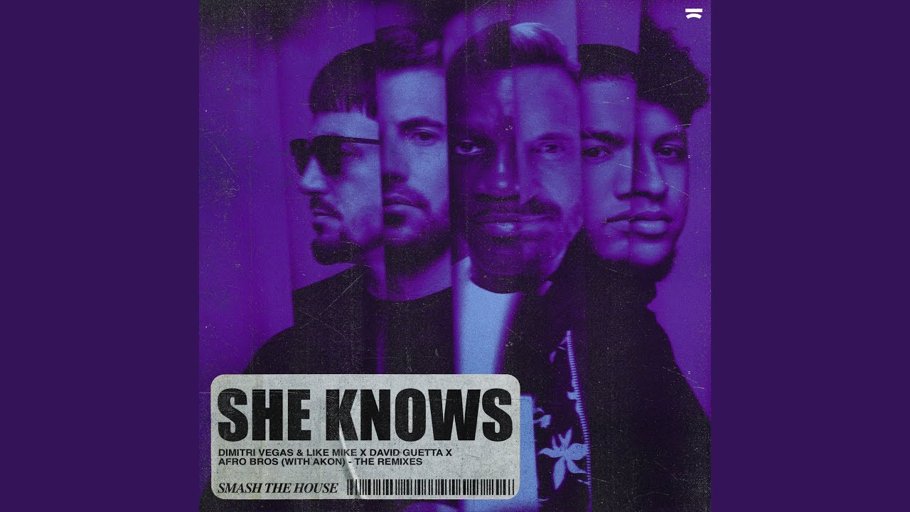 She Knows (with Akon) (Freejak Remix) (feat. Afro Bros)