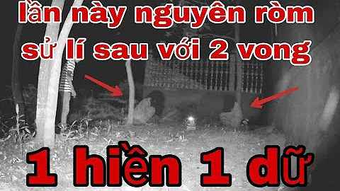 nguyn rm s l sau vi 2vong linh 1 hin 1 d (phim ma)