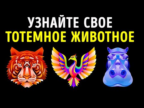 YouTube видео