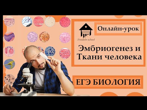 Эмбриогенез и Ткани человека для  ЕГЭ 2023|ЕГЭ БИОЛОГИЯ|Freedom|