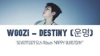 thaisub Woozi seventeen  Destiny    thaisub