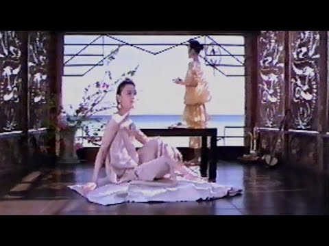 明星 新中華三昧涼麺　CM　1990年