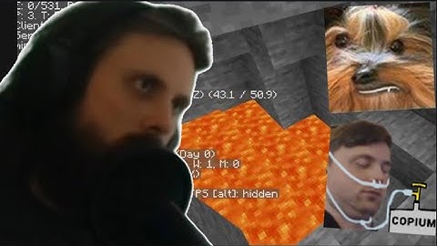 Peppah Helps Forsen in finding Lava