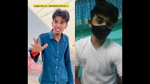 Video 11344571: cat best funny animal