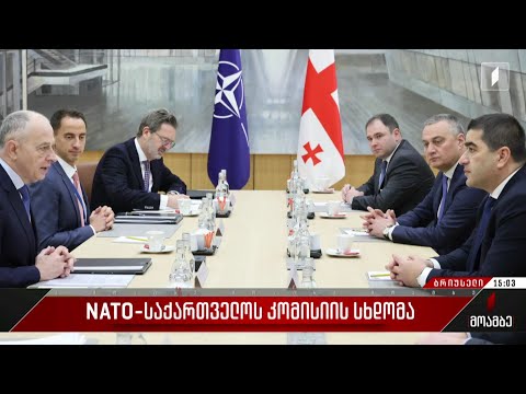 NATO-საქართველოს კომისიის სხდომა