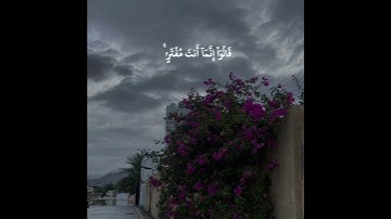 وَإِذَا بَدَّلۡنَاۤ ءَایَةࣰ مَّكَانَ ءَایَةࣲ وَٱللَّهُ||#تلاوة الشيخ ماهر المعيقلي سورة النخل