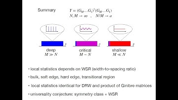 Z. Burda: Universality of random matrix dynamics