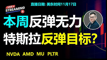 美股本周还能暴力反弹？特斯拉超跌反弹有多强 ？#美股 #特斯拉 #英伟达   #MU #COIN #TSLA #amd #PLTR