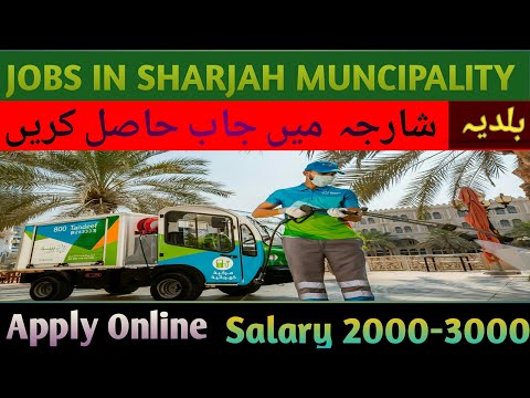 Sharjah City Municipality Jobs 2022 & 2023 Recrument Online Apply| Fresher  Also Apply | UAE JOBS