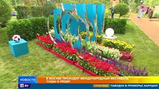 В Москве проходит международный фестиваль 