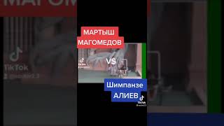 Мартыш Магомедов VS Шимпанзе Алиев