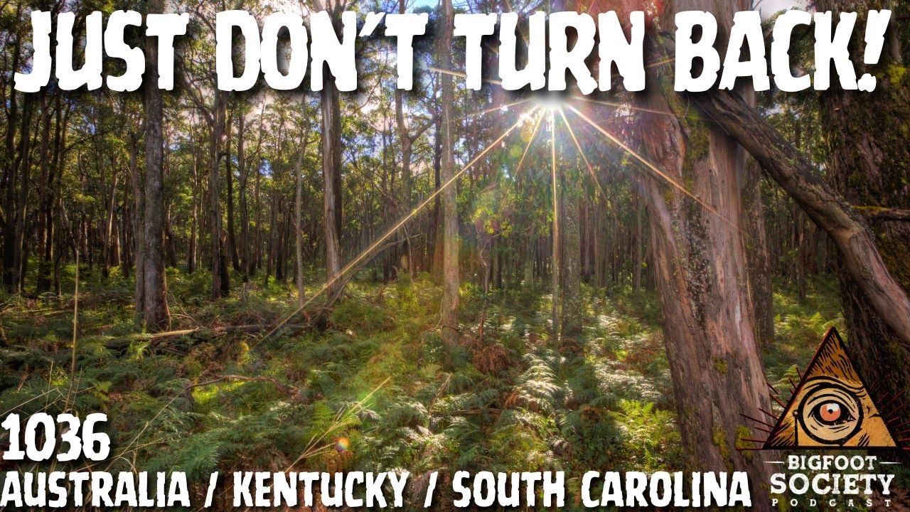 From Australia to Appalachia: Bigfoot Encounters Caught Live | Bigfoot Society 1036