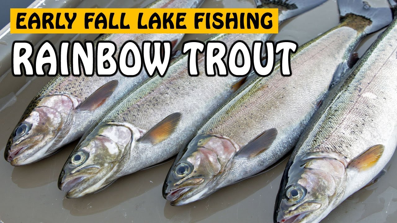 BAIT FISHING FOR EARLY FALL RAINBOW TROUT Shea Lake in Kane Valley BC