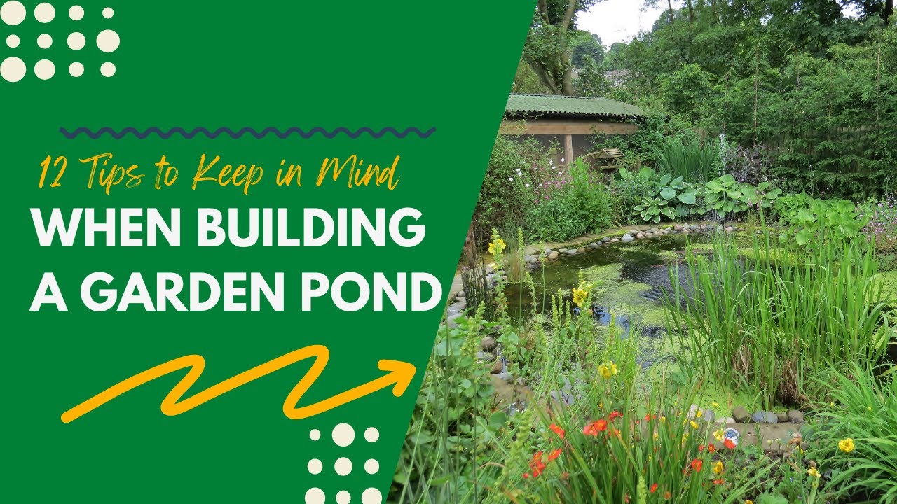 12 Tips to Keep in Mind When Building a Garden Pond YouTube