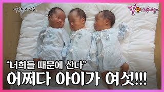 삼 남매 + 세 쌍둥이 6남매를 키운다! 양손으로 삼둥이 분유 먹이고, 씻기고 놀아주고! 6남매, 영덕을 뒤흔들다 I KBS 사람과 사람들 2017.07.12 방송