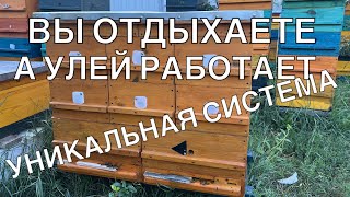 видео: УЛЕЙ ДЛЯ ОТДЫХА картинка: УЛЕЙ ДЛЯ ОТДЫХА