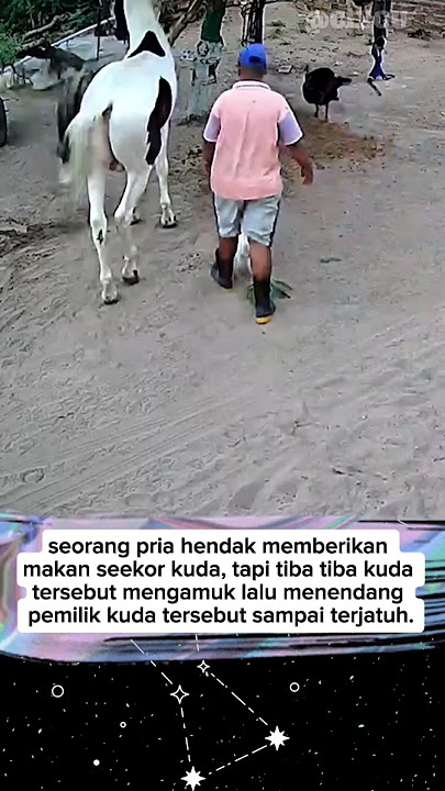 mau kasihan apa ketawa? komen dibawah😁 #funny #peternak #kuda #shorts