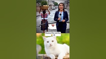 Did you notice ? #cat #funny #memes #cattyreact #tiktok #trending