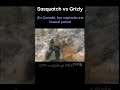 Sasquatch vs Grizly