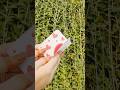 Cute🥰 Valentine's Craft 🌹#diy #shorts #youtubeshorts #youtubepartner #trending