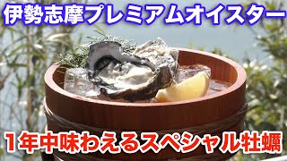 これぞ極上！豊かな伊勢志摩の海、的矢の海が育てた「伊勢志摩プレミアムオイスター」を海で生のまま食す！そして的矢牡蠣のフルコースも！第5回おっ！TVのYouTube版です！