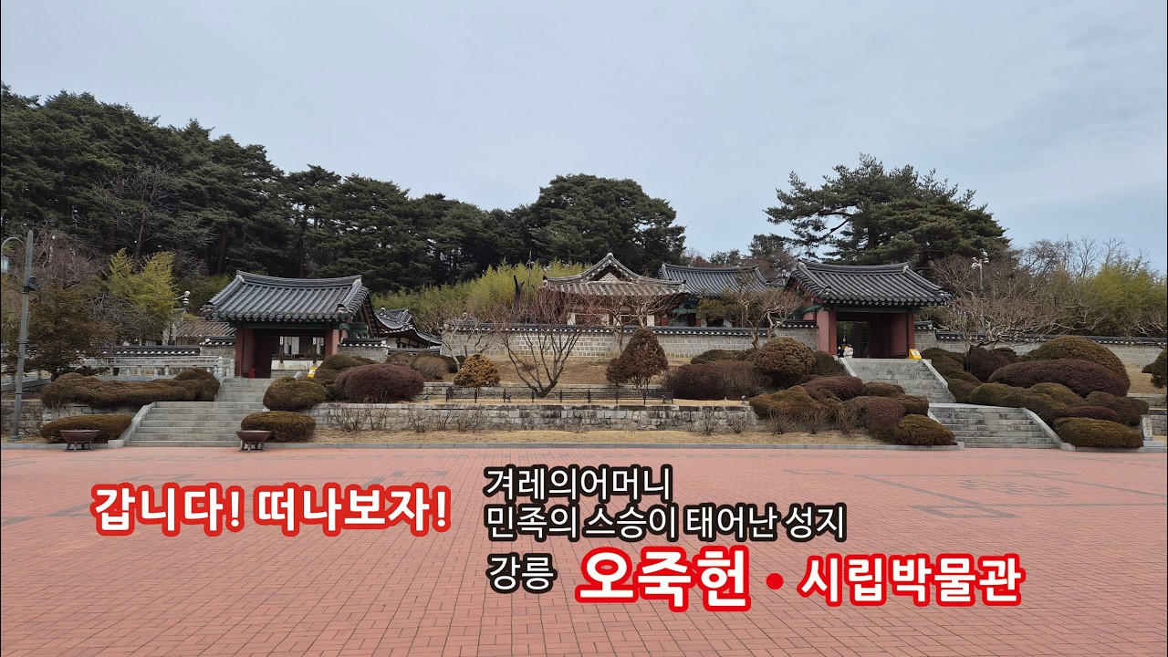 갑니다! 떠나보자! 강릉 오죽헌 시립박물관 화폐전시관