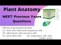 Anatomy of Flowering Plants class 11 | NEET Previous Years Questions | Important MCQs |#neet #shorts