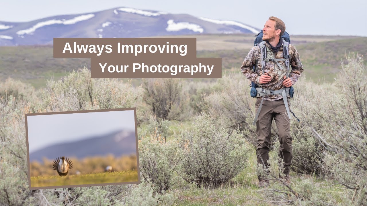 A morning Photographing Sage Grouse. A method I use to continually improve my Wildlife Photography