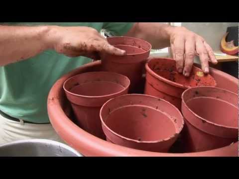 Is It Ok To Use Grow Pots In The Landscape?