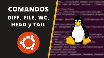 📌 Cómo Utilizar los COMANDOS DIFF, FILE, WC, HEAD y TAIL en LINUX 💻
