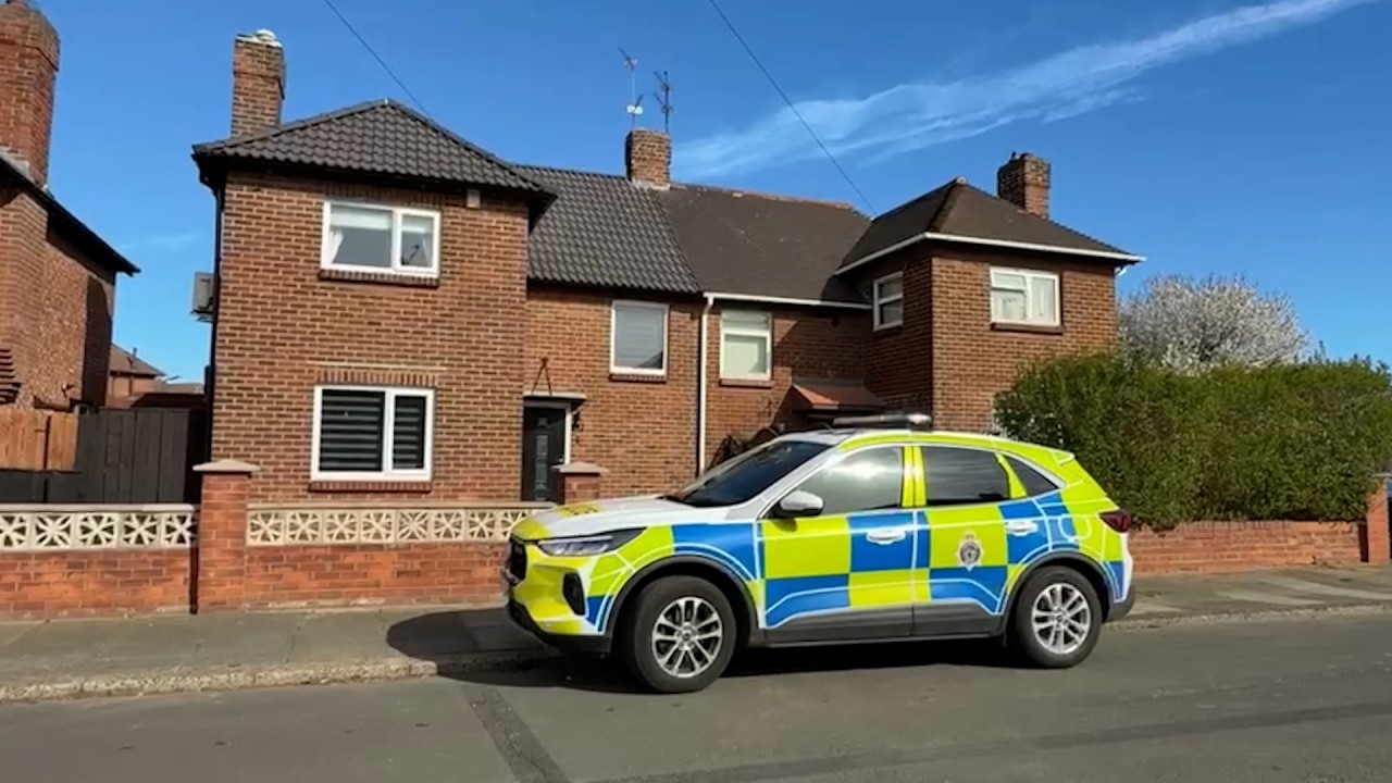 Child dies after being bitten in dog attack | SWNS - YouTube