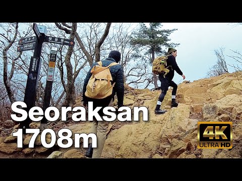 Video: Østerssvampe På Koreansk