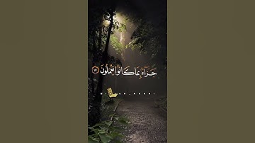 تلاوة تريح القلب قرآن