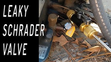Leaky Schrader Valve