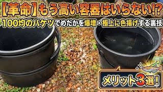 【革命】もう高い容器はいらない！？100均の9Lバケツでめだかを爆増・極上に色揚げする裏技とメリット3選！【メダカ】