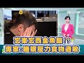 忘東忘西金魚腦!? 專家：睡眠壓力食物過敏｜三立新聞網 SETN.com