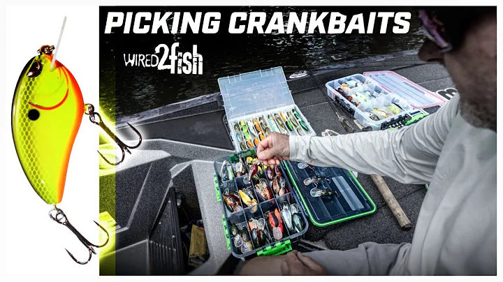 Mike McClelland’s Guide to Crankbait Fishing