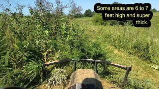 Bush Hogging 7 foot jungle with Bobcat T650 & Blue Diamond Severe Duty Brush cutter! (PART 2)