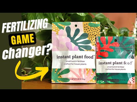 Видео: Шуурхай ургамалд бордоо хэрэгтэй юу - лонхтой ургамлын бордооны тухай мэдээлэл