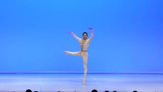 João Vitor Santana, 407 – Prix de Lausanne 2020 Prize Winner – Classical