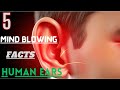 "👂 5 Mind-Blowing Facts About Human Ears! Hear It to Believe It! 🔊"