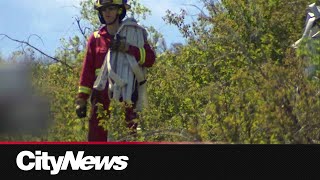 Calgary Fire responds to Nose Hill Park fire